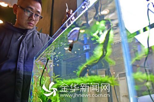 超白玻璃鱼缸 超白玻璃鱼缸